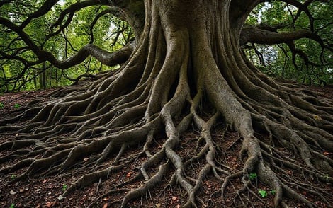 Bygg broar, inte murar: Systemintegration för smarta företag